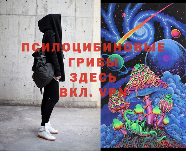 apvp Горнозаводск